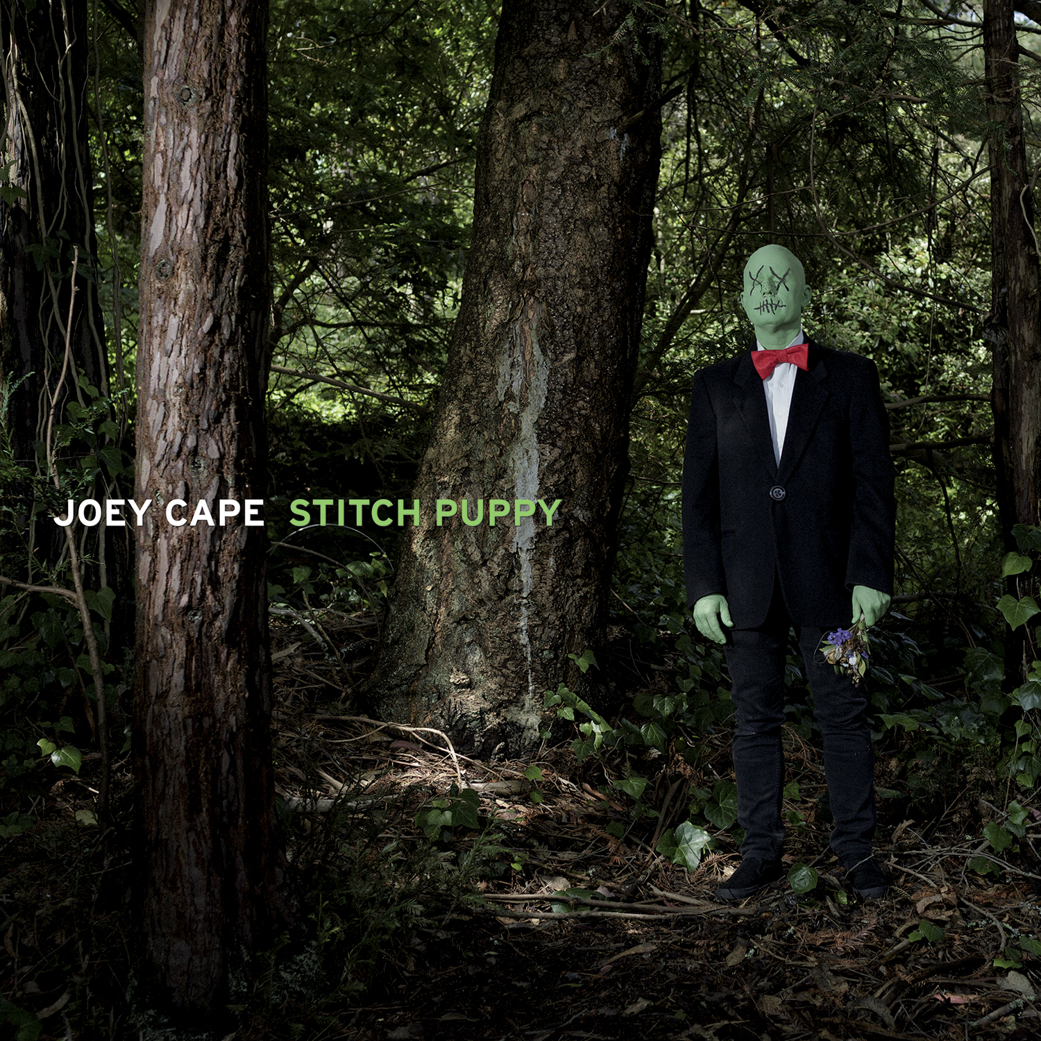 Joey Cape – Stitch Puppy