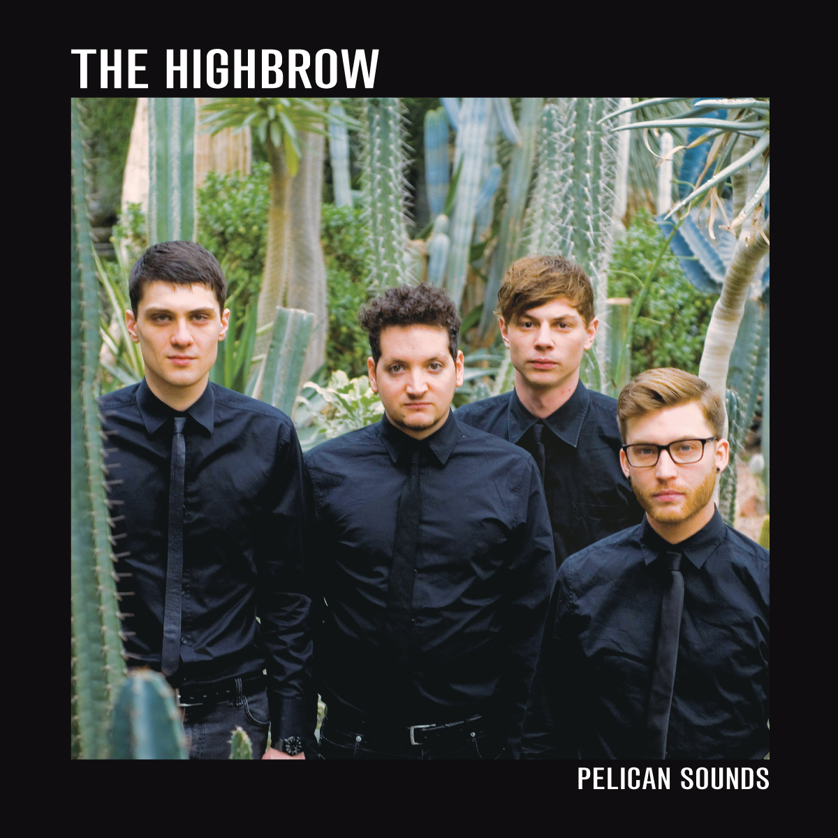 The Highbrow – Pelican Sounds