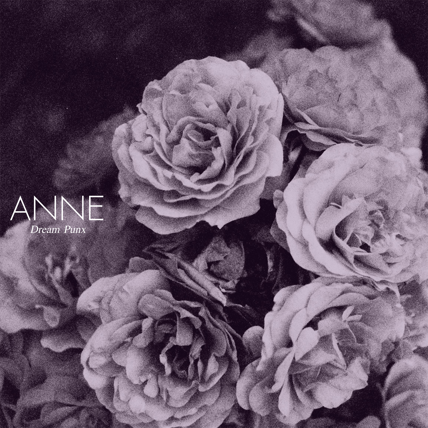 A389 Recordings releasing LP by Portland shoegaze punks Anne