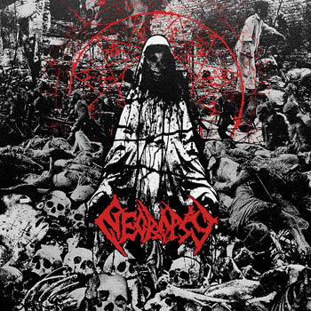 A389 Recordings signs Necropsy