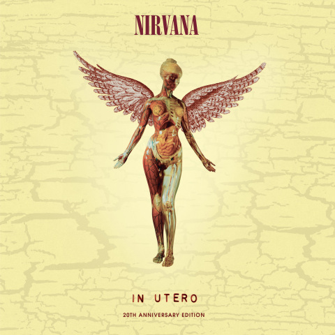 More Nirvana – In Utero anniversary edition details