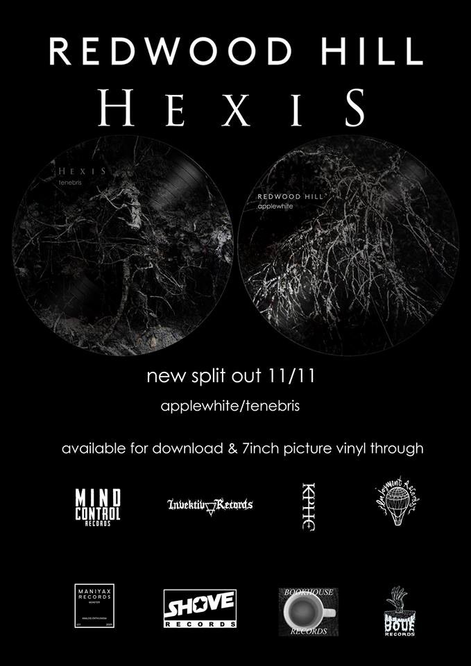 Hexis / Redwood Hill split picture 7″ out now